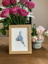 Fine Art Print of a Coloured Pencil Drawing of a Kingfisher diving. Framed.