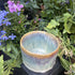 Hues and Cues Bowl