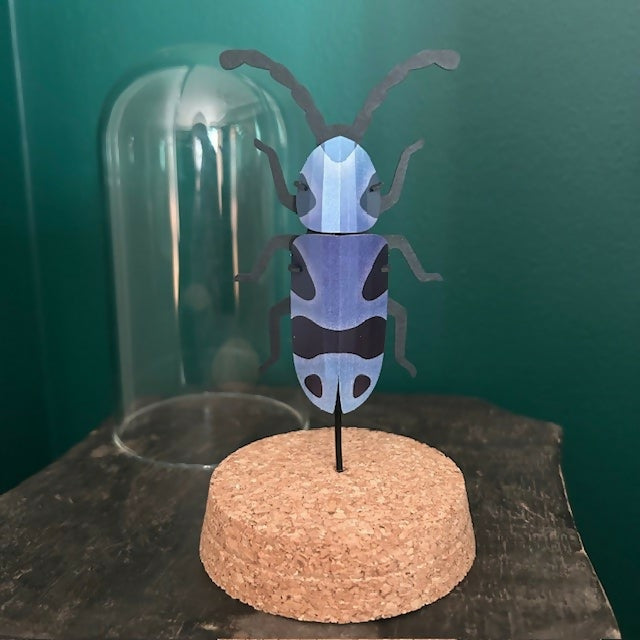 Lovely Glass Dome Featuring A Blue & Black 3D Paper Beetle