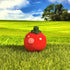 Tomato Friend Figure