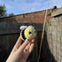 Crochet Bee