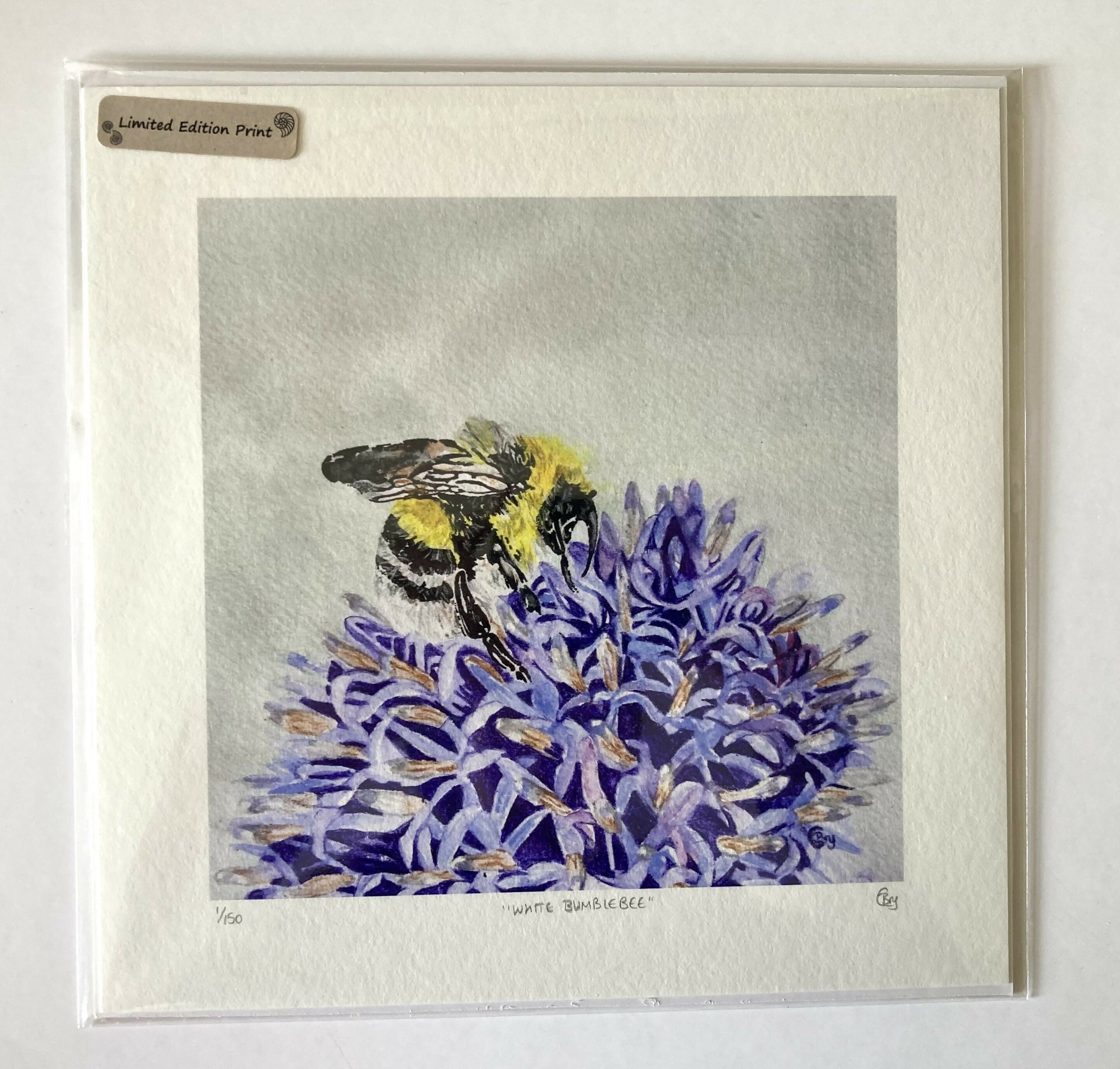 White Bumble - Print