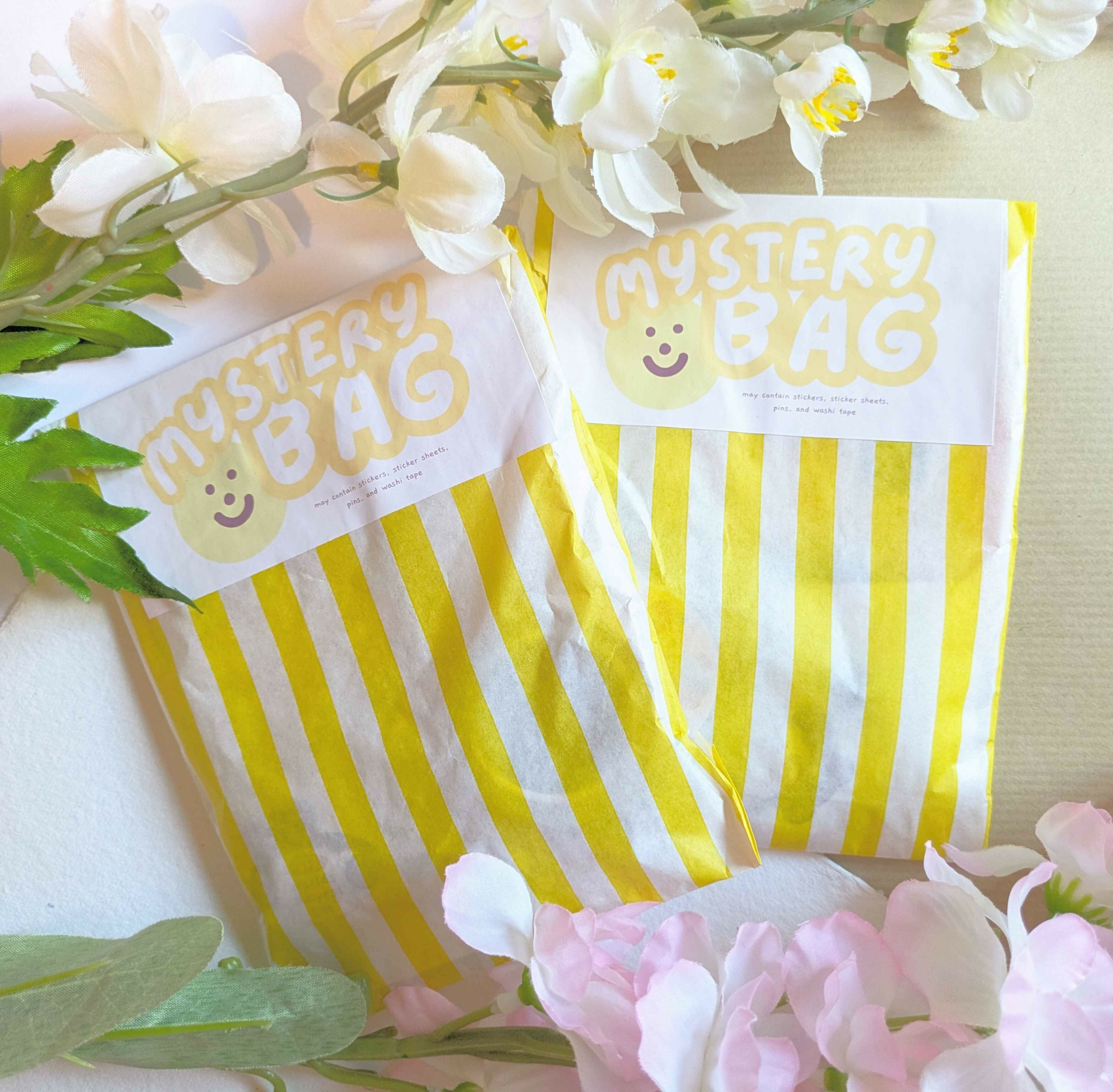Mystery Stationery Bag