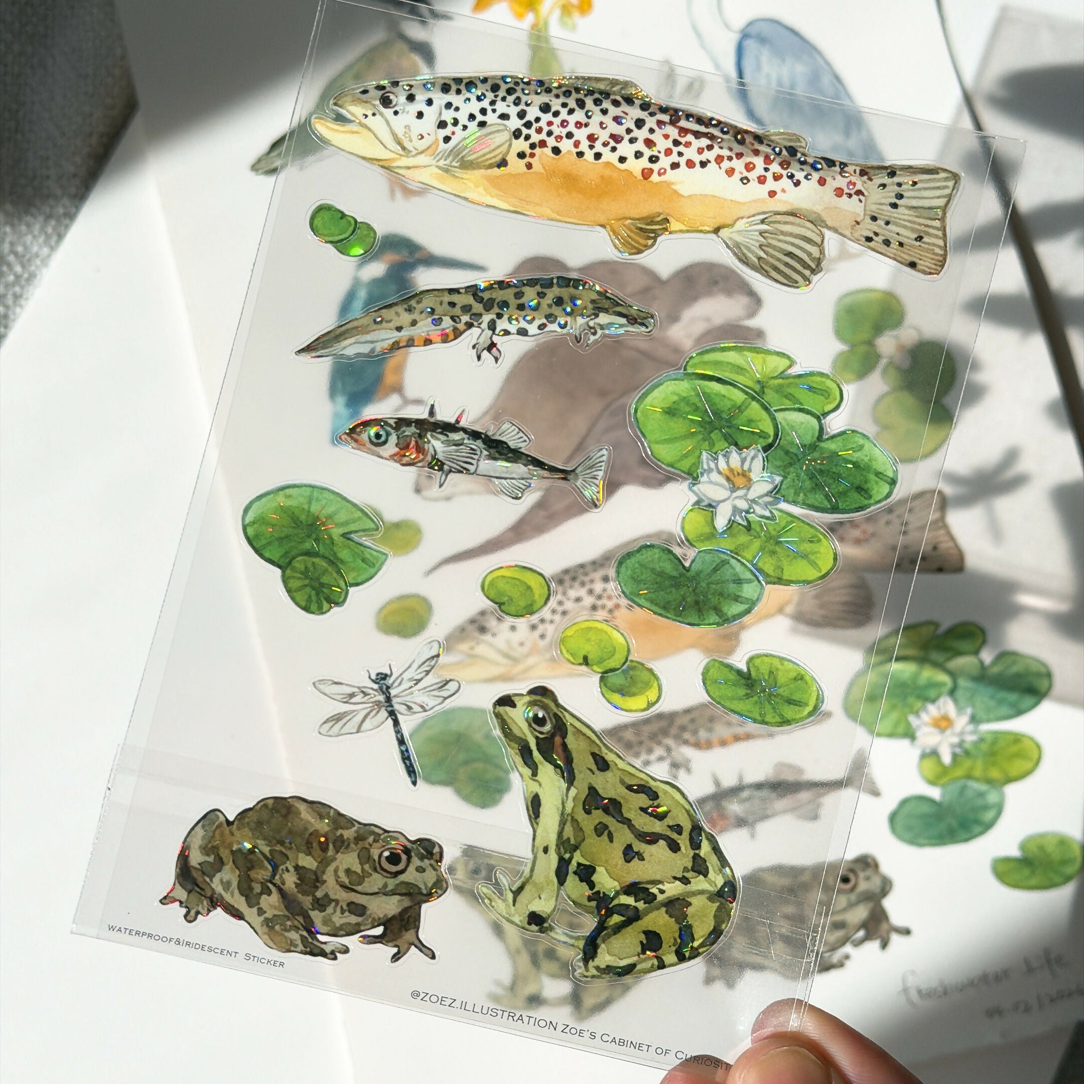 A6 transparent waterproof iridescent wildlife sticker sheet