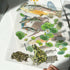 A6 transparent waterproof iridescent wildlife sticker sheet