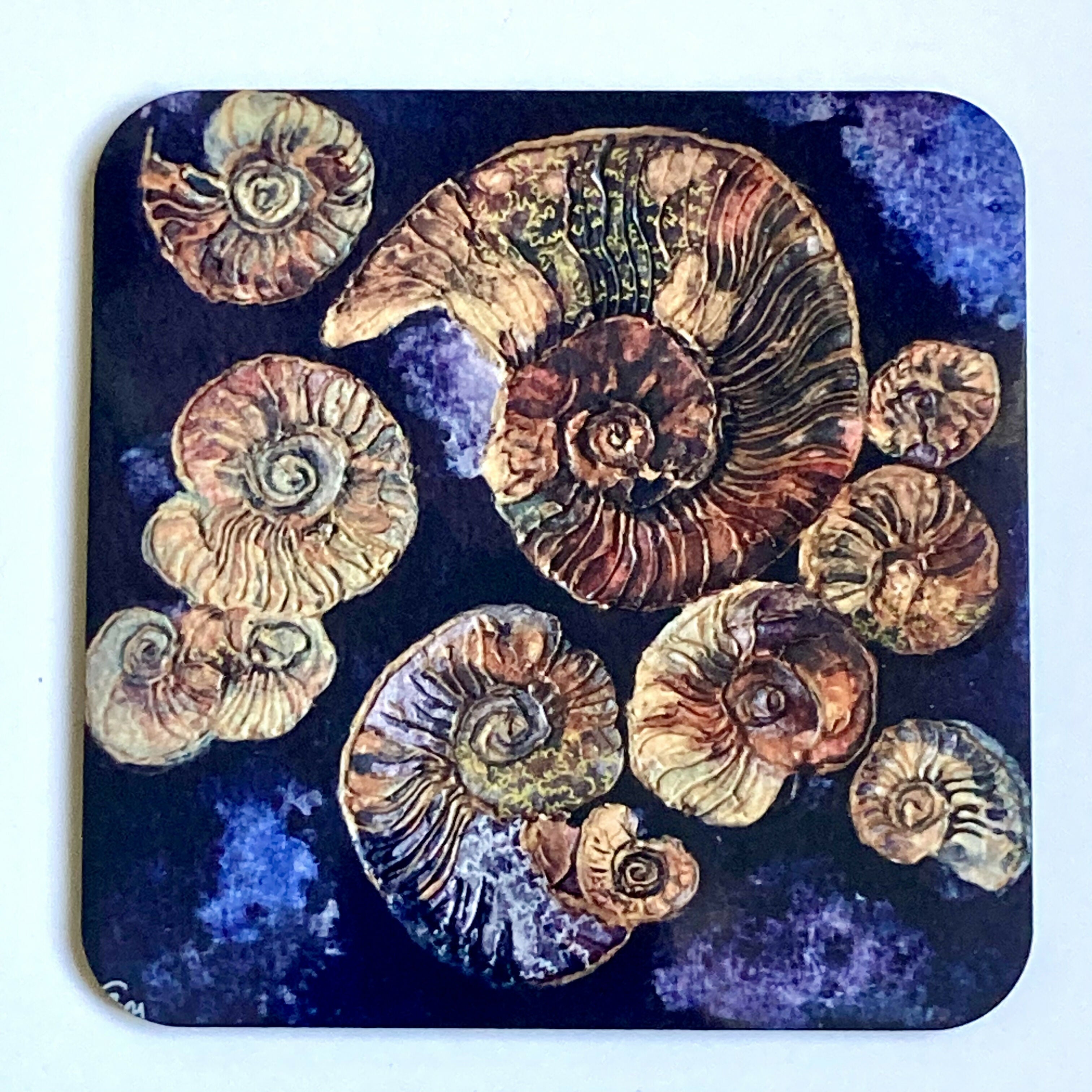 Ammonite - Coaster