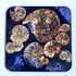 Ammonite - Coaster
