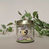Bee Jar Pastel 4 Painty Paws 2025