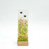 Bees Small Plinth