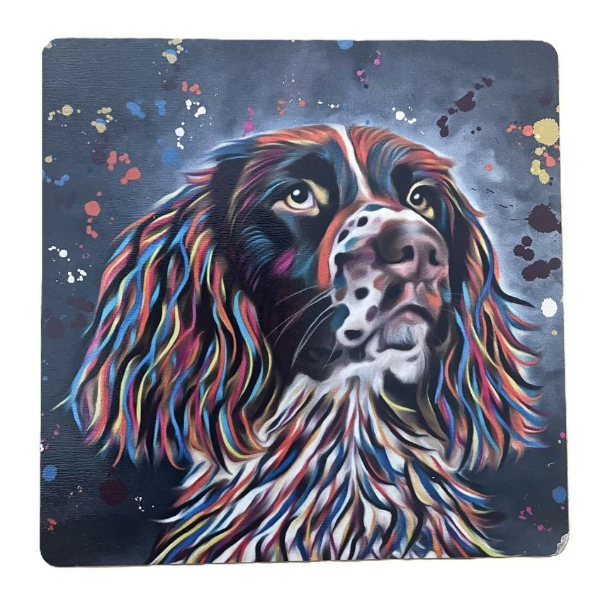 Springer Spaniel Coaster
