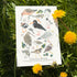A5 RISO prints-Coastal Birds，Scottish Seabirds，Highland wildlife，Nocturnal wildlife