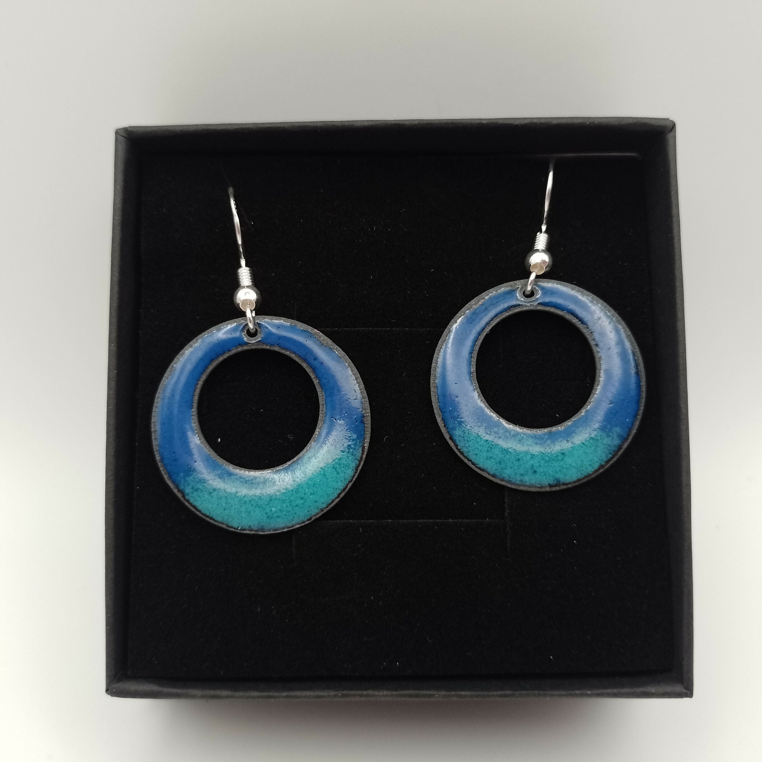 Dark and Pale Blue Enamel Earrings