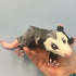 3D Printed LARGE: Articulated Sensory Fidget Animals friends Opossum 28cm