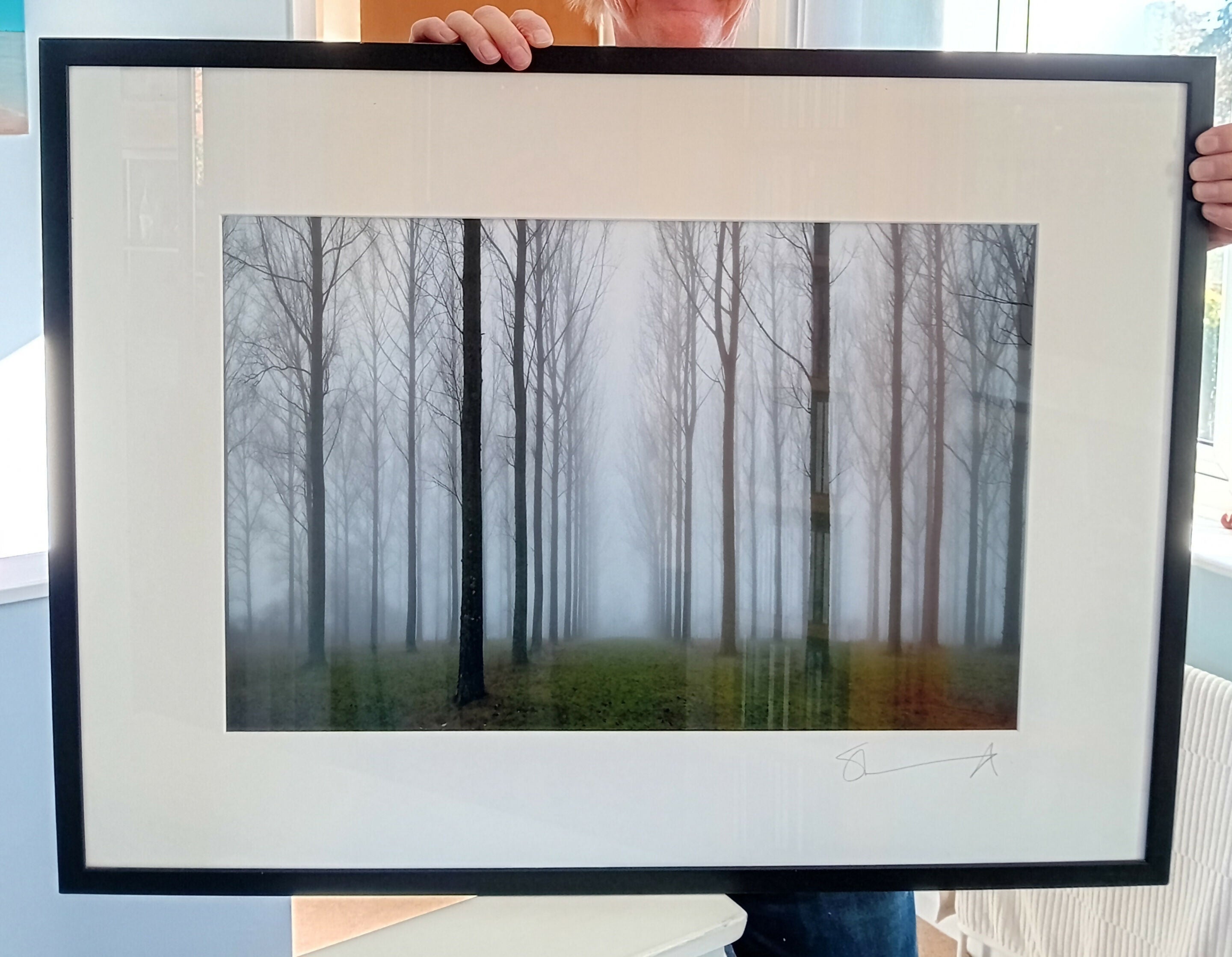 Misty Trees (Super Big Frame)