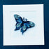 Handmade Paper Quilling Butterfly with White Framed