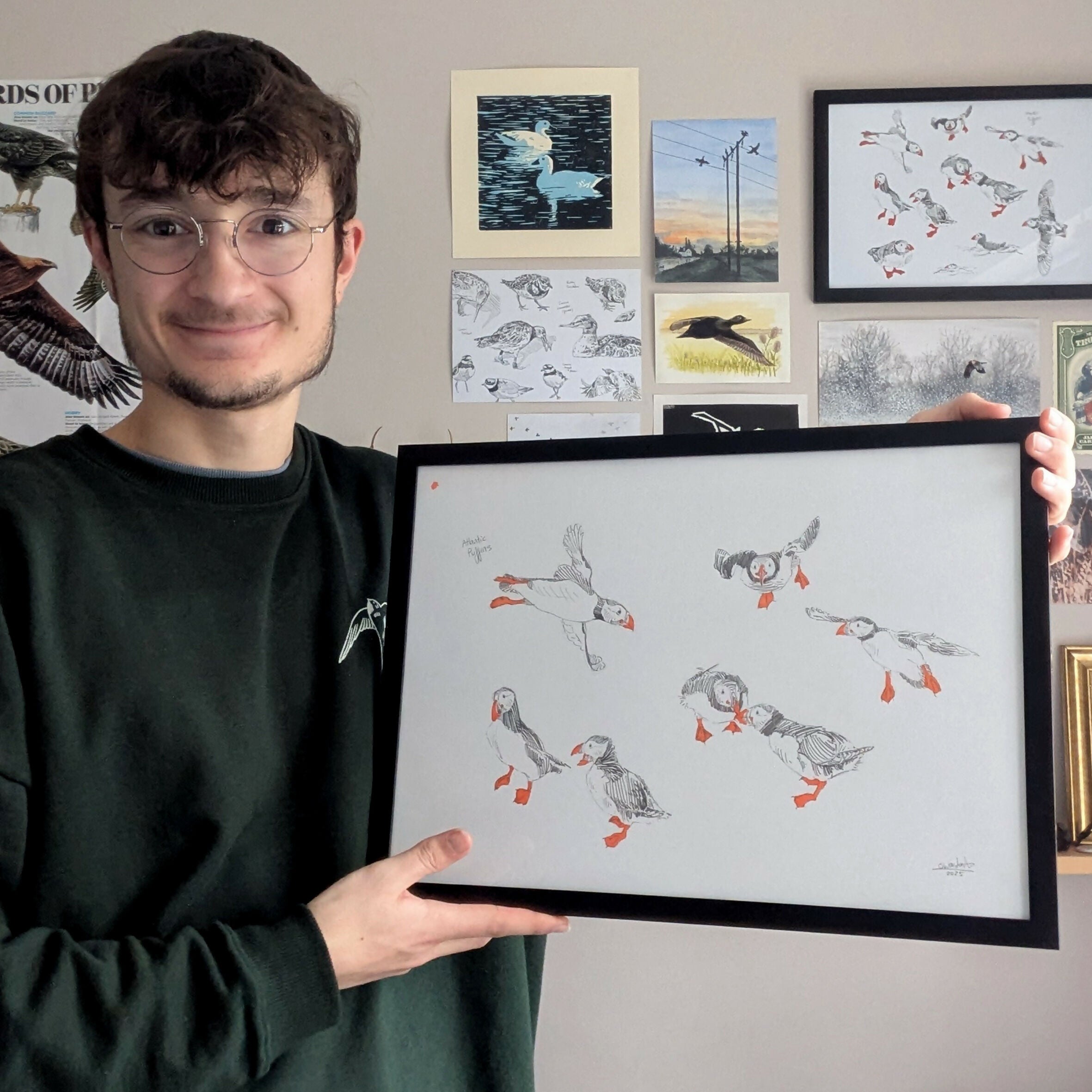 Puffin Sketches - A3 Original Framed