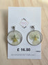 Stainless Steel Real Pansy Dangle Earrings