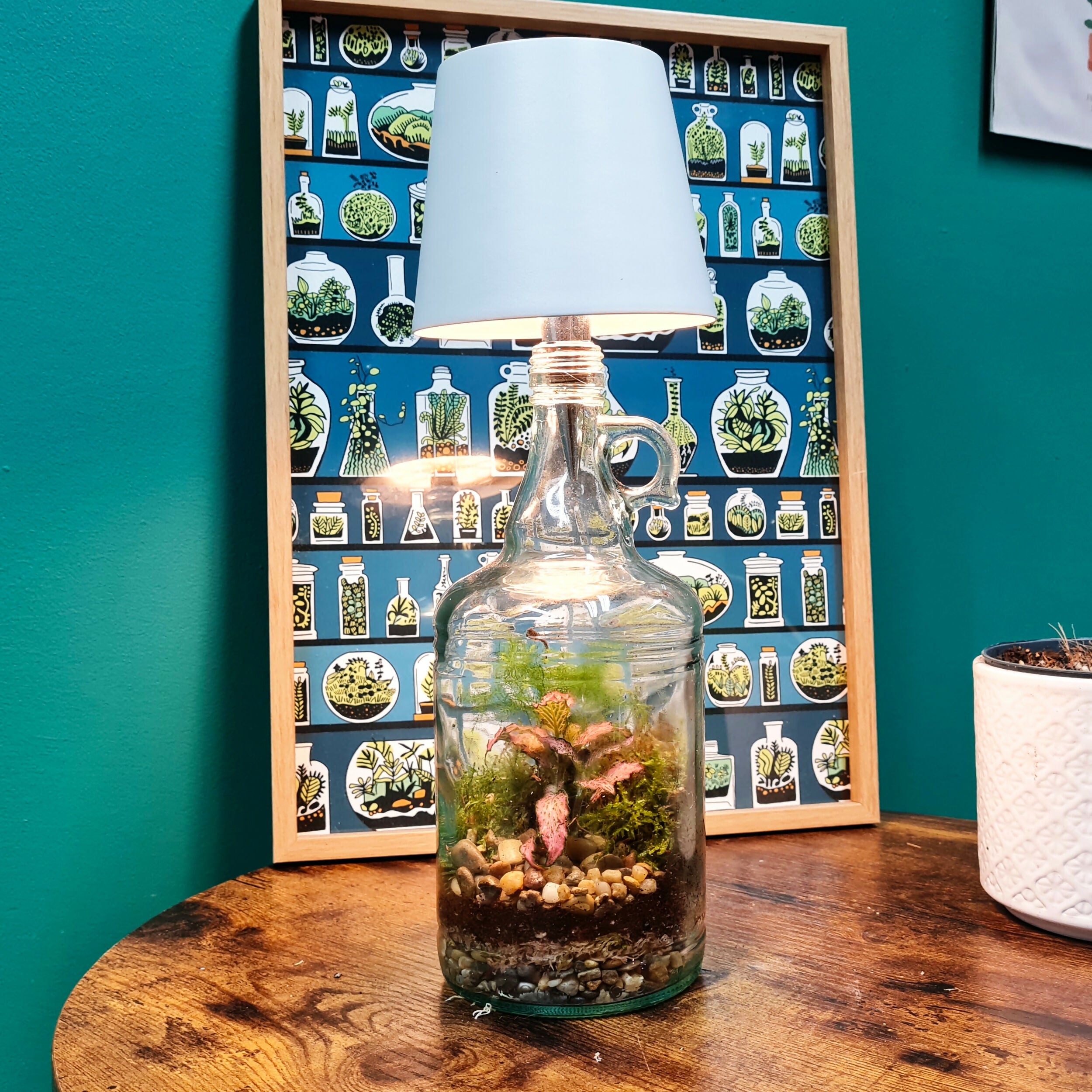 Lamp Demijohn Terrarium