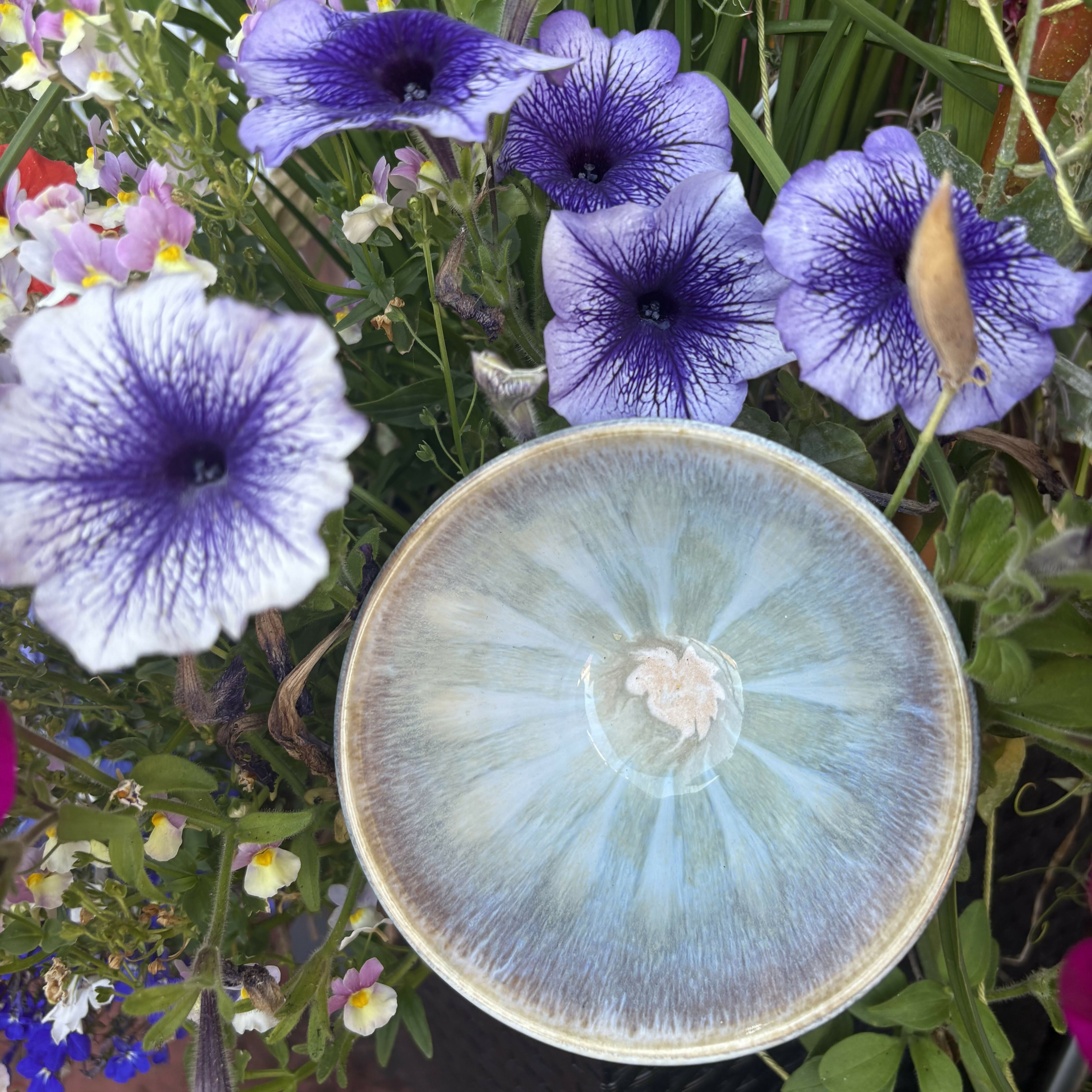 Sage Bowl