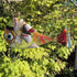 Red Tail Funny Fish