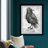 crow
