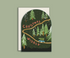 Illustrated Arched Christmas Card 4-Pack