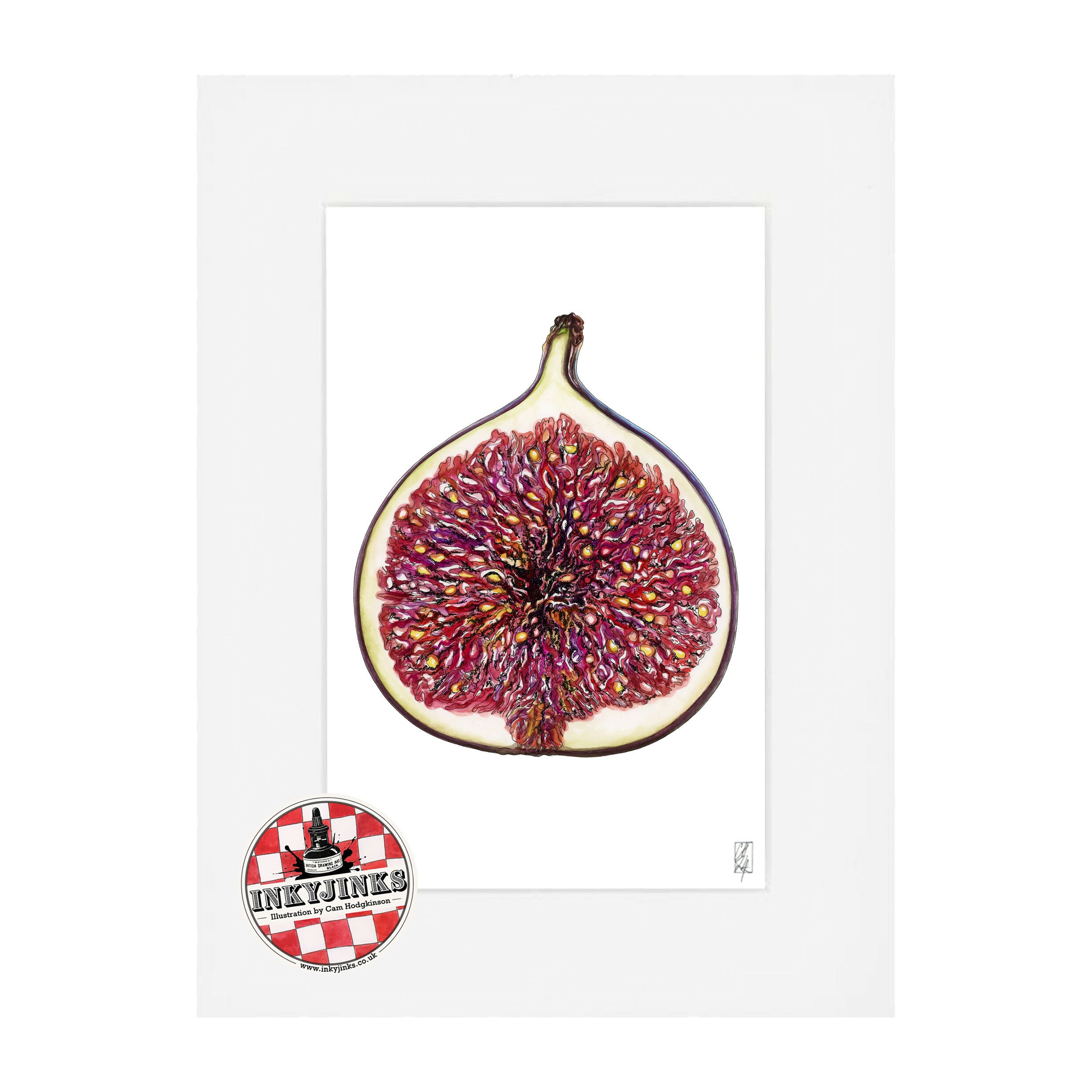10”x 8” Mounted and Backed Giclée Print of a Fig