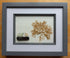 Real Pressed Seaweed 3D Art With Sea Glass