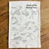 Birds of the British Isles - Handprinted, Illustrated Tea Towel
