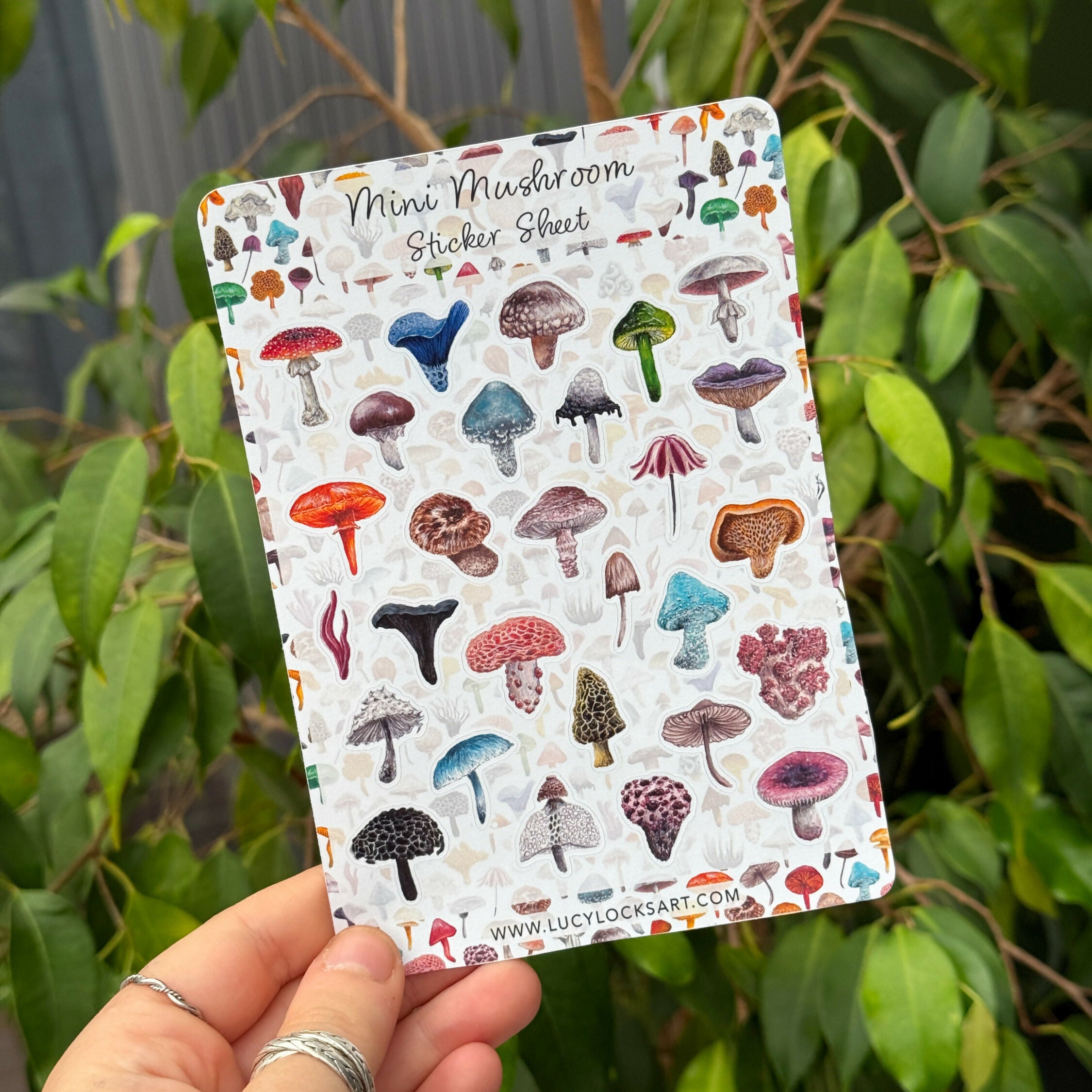 Mushroom - Matt Sticker Sheet