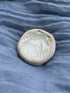 Small Shell Trinket Dish