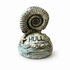 Porcelain Hull Keepsakes