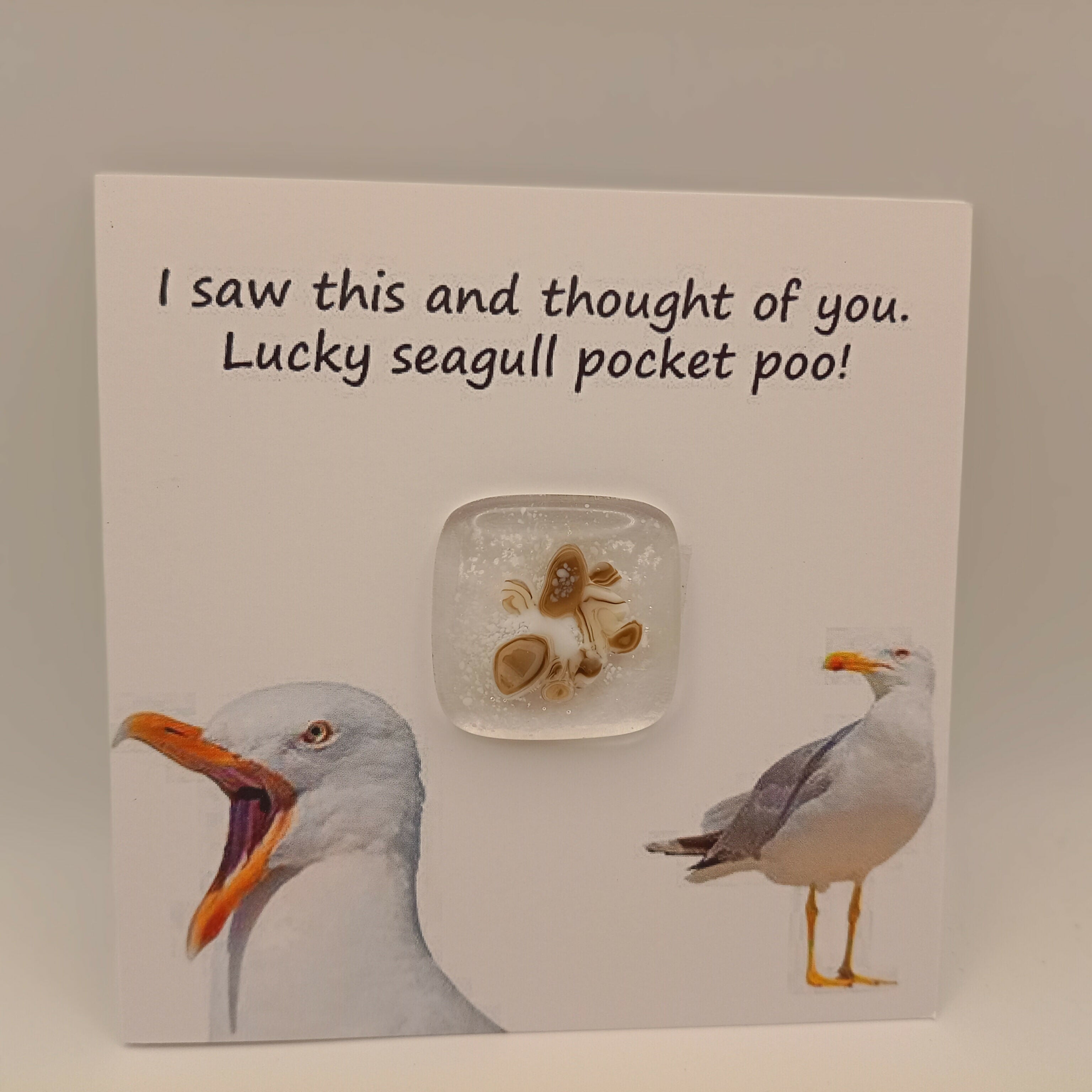 Pocket Poo Card