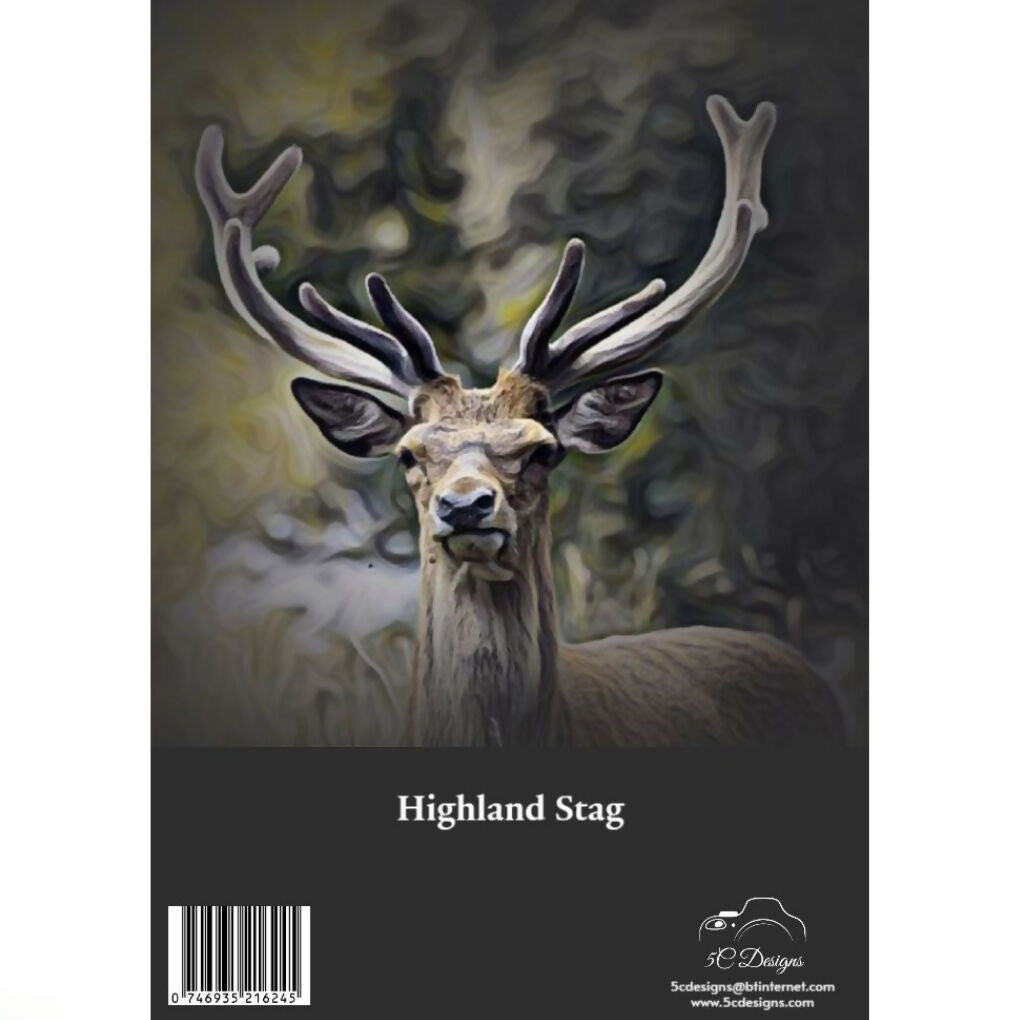STAG BACK