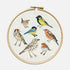 Bird Embroidery Kit Project