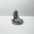 Porcelain Fossil on Rock