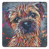 Border Terrier Coaster