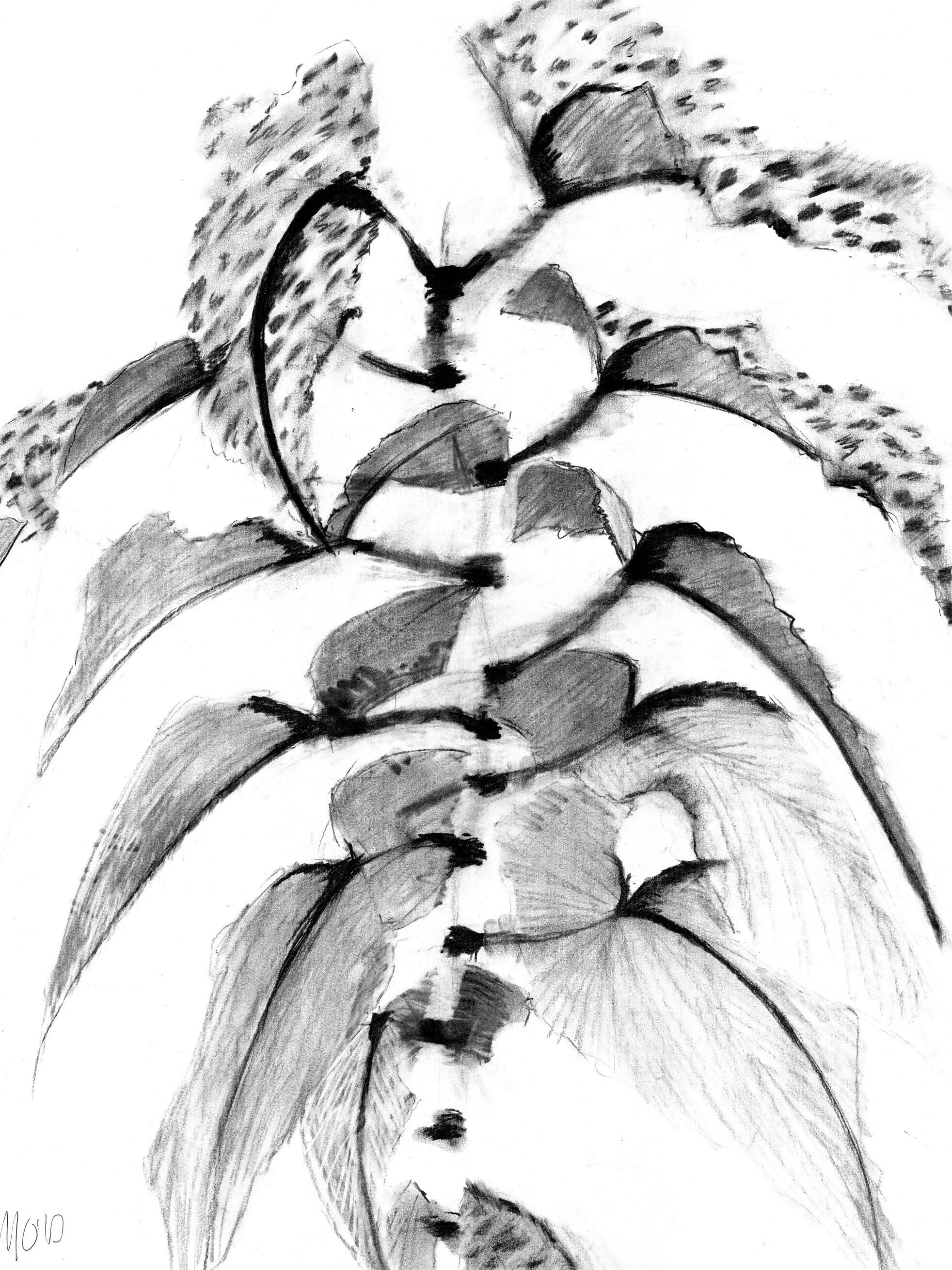 Botanical 1 Various Sizes Framed or Mounted