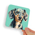 Dachshund Brindle Dog Coaster