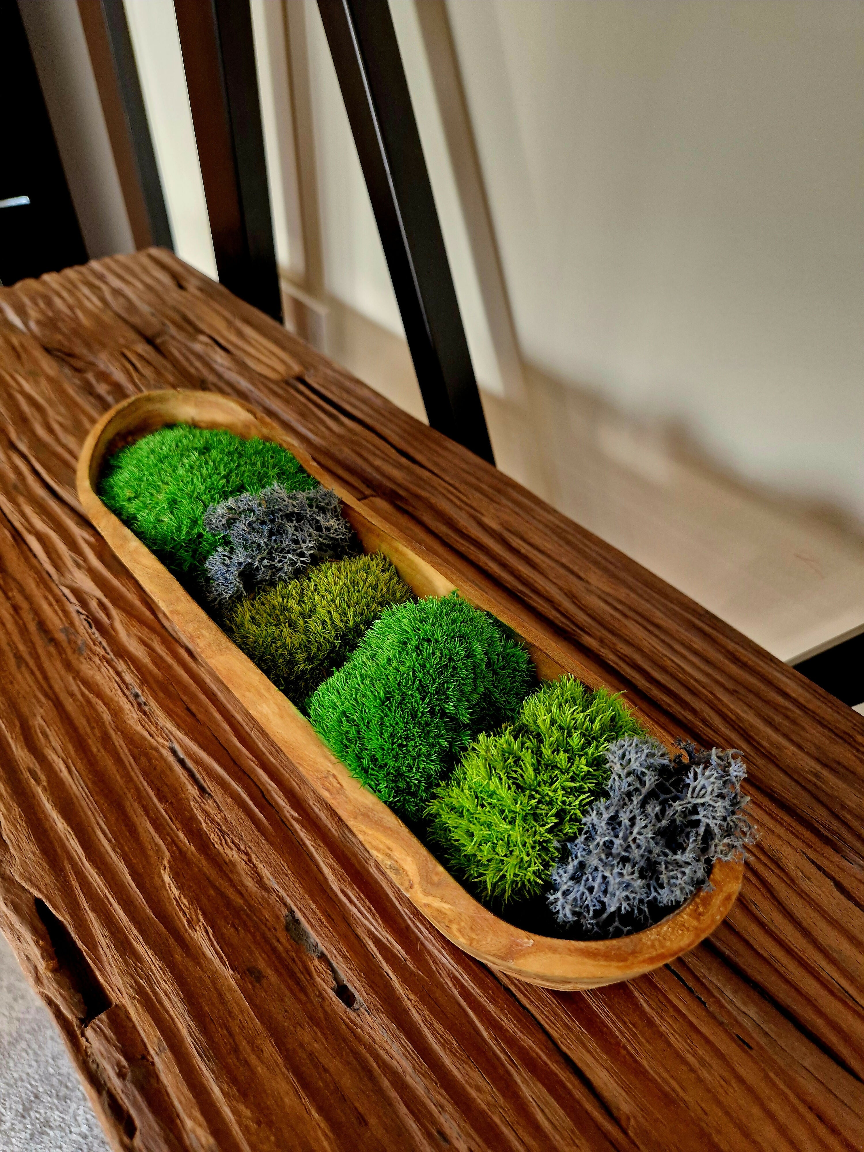 Natural Pillow Bun Moss Teak Bowl