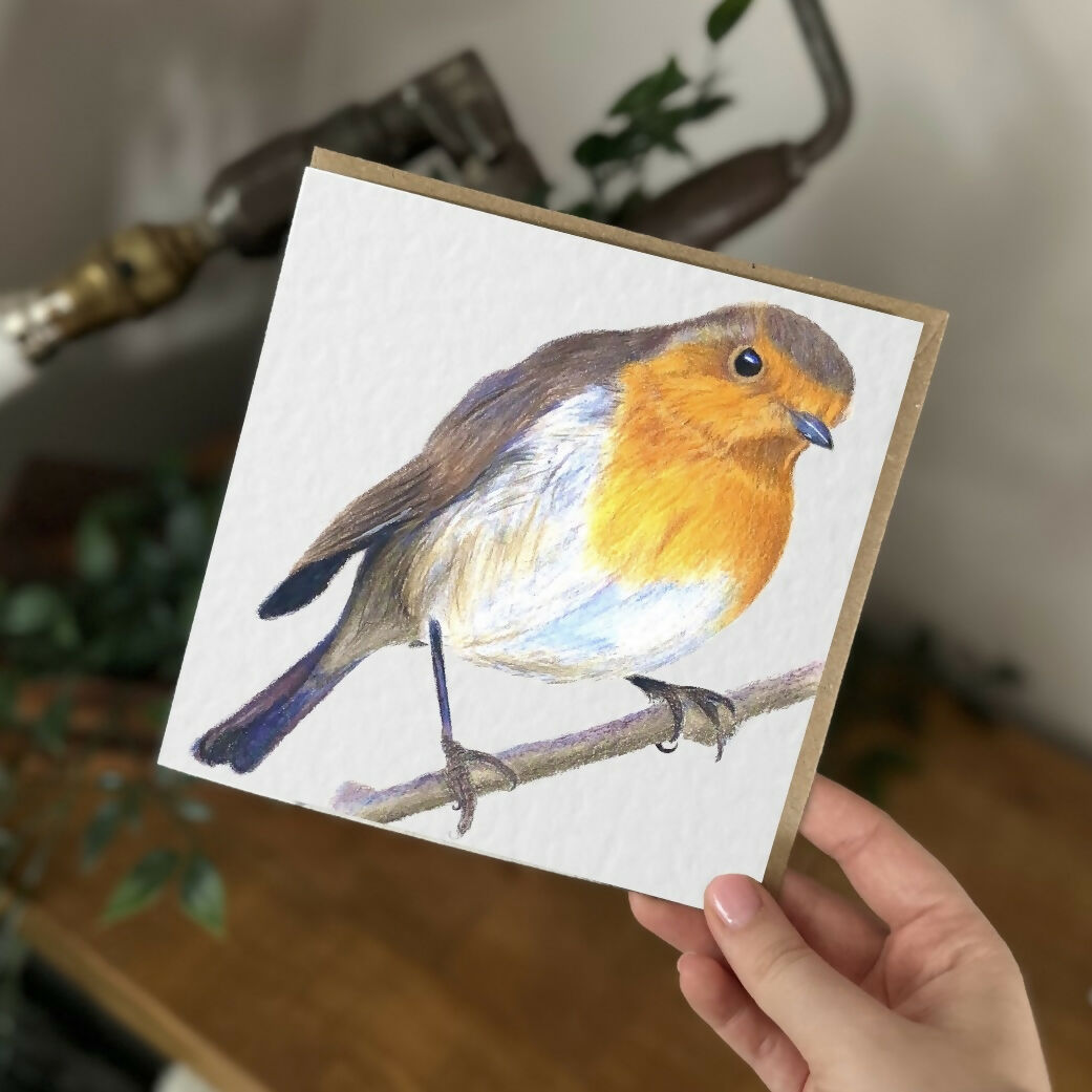 Robin Bird Greeting Card – British Wildlife Art – Blank Inside