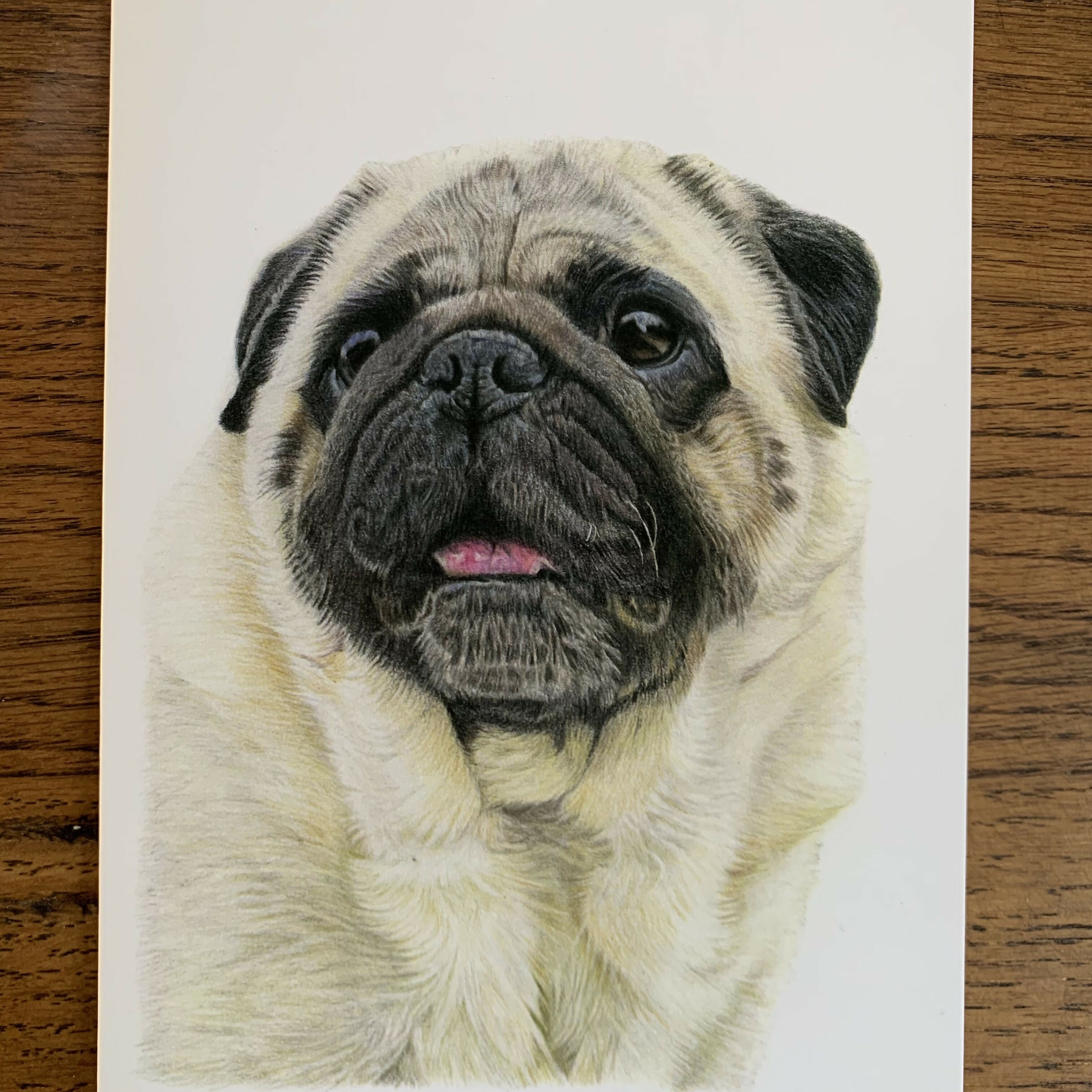 Greeting Card of a Pug 1. Blank Inside