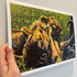 A5 Lion Print