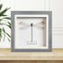 Damselfly (Odonata Ssp) Handmade Box Frame