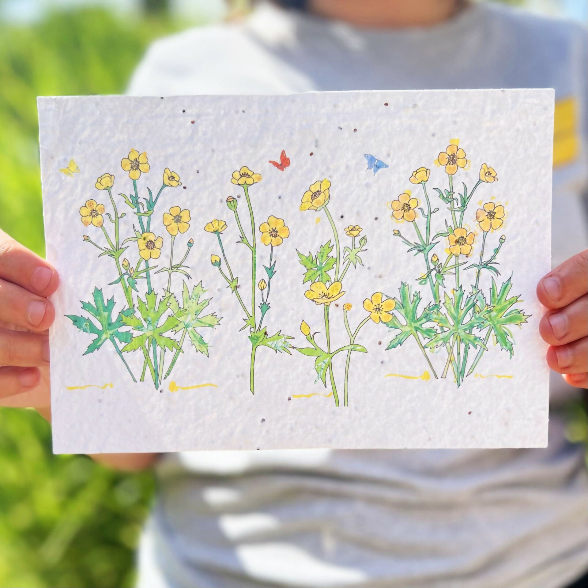 Seed Card Print - Buttercups