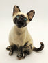 Siamese cat