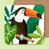 Toucan Coaster