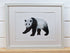 Panda Giclée Print