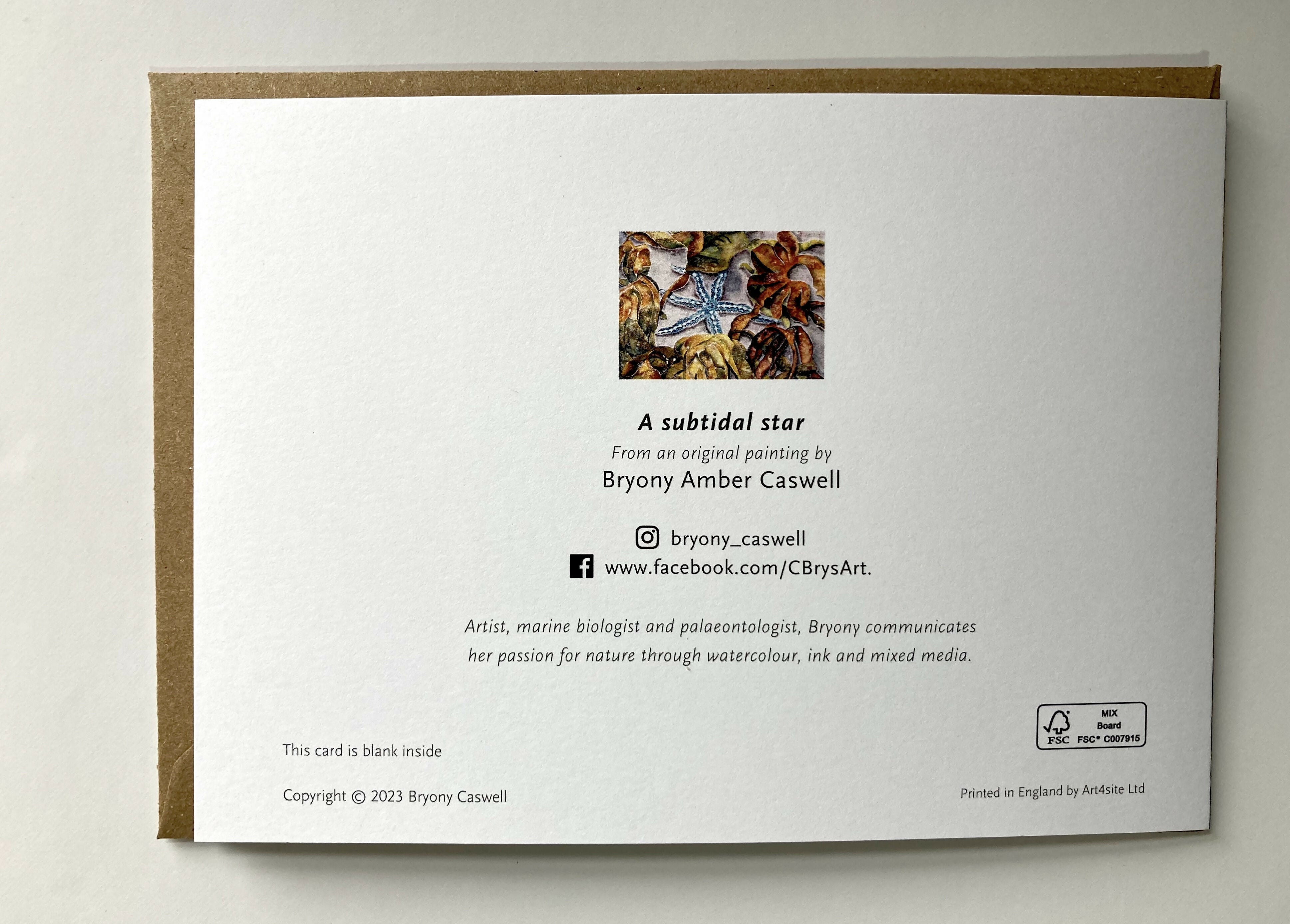Subtidal star card back