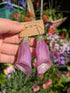 REAL FOXGLOVES EARRINGS